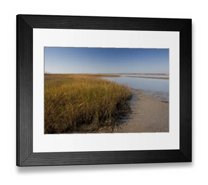 Framed Print : View of saltmarsh and mudflats habitat, Shinnecock County Park, Hampton Bays, Long Island, New York State, U. S. A. november Framed Print : View of saltmarsh and mudflats habitat, Shinnecock County Park, Hampton Bays, Long Island, New York State, U. S. A. november