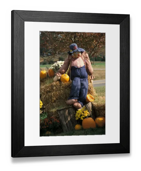 Framed Print : Tennessee Halloween decorations - Townsend, Tennessee, USA Framed Print : Tennessee Halloween decorations - Townsend, Tennessee, USA