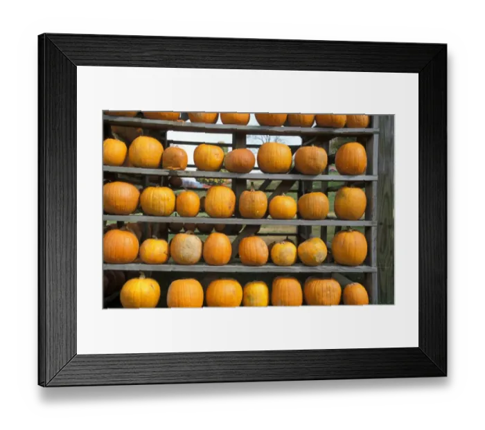 Framed Print : Tennessee Pumpkin harvest store - Great Smoky Mountains, Tennessee, USA Framed Print : Tennessee Pumpkin harvest store - Great Smoky Mountains, Tennessee, USA