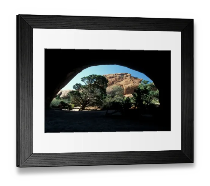 Framed Print : Utah Looking out of Navajo Arch at Juniper Tree, Arches National Park, Utah, USA Framed Print : Utah Looking out of Navajo Arch at Juniper Tree, Arches National Park, Utah, USA