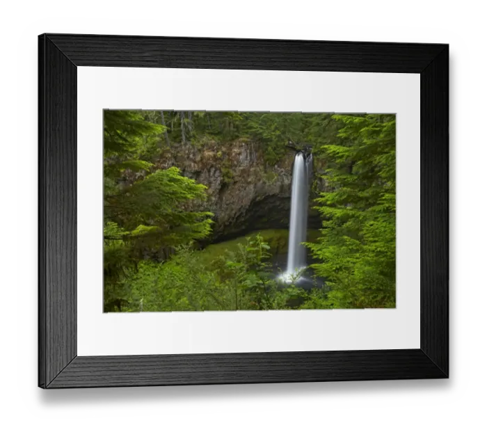 Framed Print : View of waterfall in forest, Big Creek Falls, Lewis River, Gifford Pinchot National Forest, Washington State, U. S. A Framed Print : View of waterfall in forest, Big Creek Falls, Lewis River, Gifford Pinchot National Forest, Washington State, U. S. A