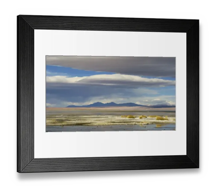 Framed Print : View of hotsprings and saltlake habitat, Atacama Desert, Bolivia Framed Print : View of hotsprings and saltlake habitat, Atacama Desert, Bolivia