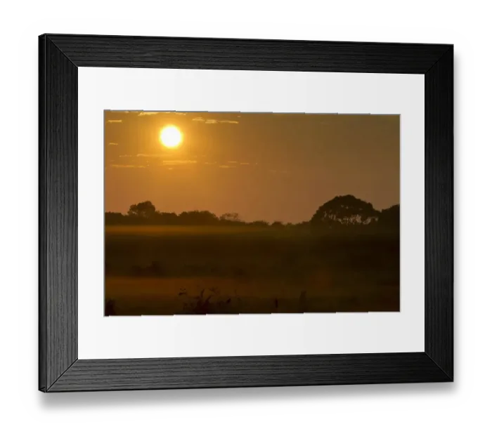 Framed Print : Sunrise over misty landscape, Pantanal, Mato Grosso, Brazil