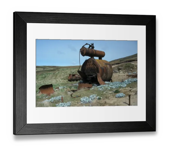 Framed Print : Falklands Remains of shore based Whaling Station on New Island - Falklands Framed Print : Falklands Remains of shore based Whaling Station on New Island - Falklands