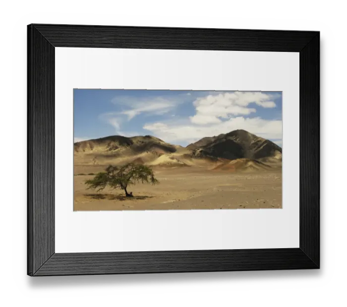 Framed Print : View of coastal desert habitat, Nazca Desert, Nazca, Peru Framed Print : View of coastal desert habitat, Nazca Desert, Nazca, Peru