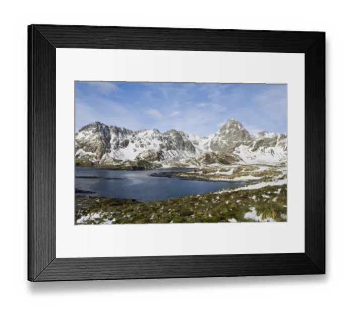 Framed Print : View of coastline with snow covered mountains, Cooper Bay, South Georgia, october Framed Print : View of coastline with snow covered mountains, Cooper Bay, South Georgia, october