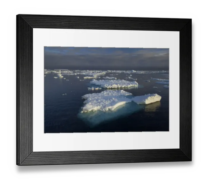 Framed Print : View of ice covered sea, Weddell Sea, Antarctica Framed Print : View of ice covered sea, Weddell Sea, Antarctica