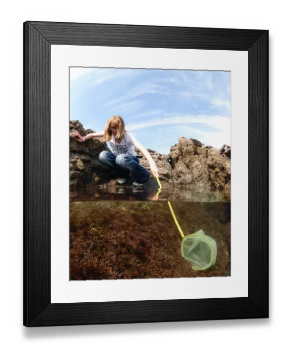Framed Print : Girl rockpooling in coastal rockpools, with net underwater, Harlyn Bay, Cornwall, England, april Framed Print : Girl rockpooling in coastal rockpools, with net underwater, Harlyn Bay, Cornwall, England, april