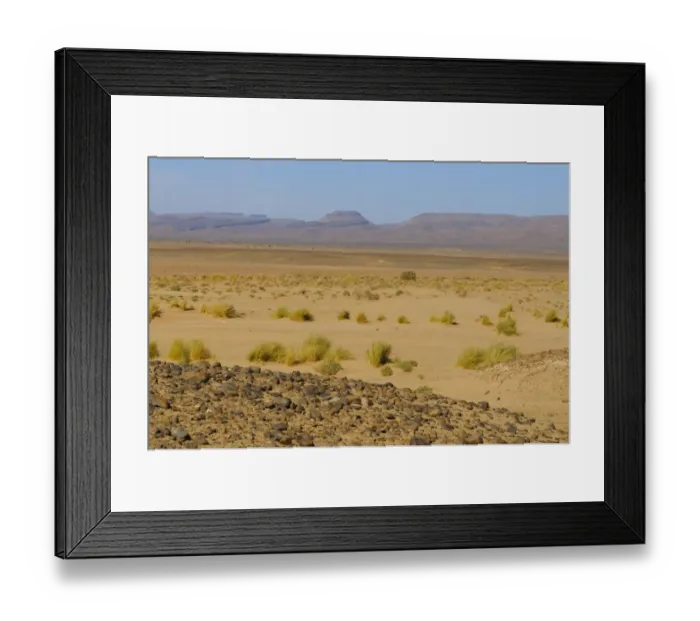 Framed Print : View of sparse vegetation in sand at edge of desert, Sahara, Morocco, january Framed Print : View of sparse vegetation in sand at edge of desert, Sahara, Morocco, january