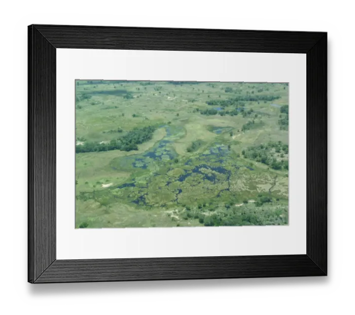 Framed Print : Aerial view of wetland habitat, Okavango Delta, Botswana