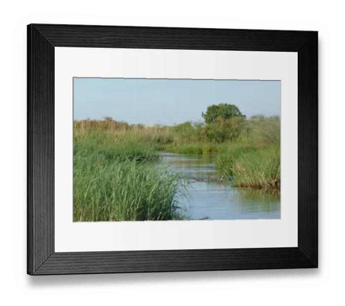 Framed Print : View of wetland habitat, Okavango Delta, Botswana Framed Print : View of wetland habitat, Okavango Delta, Botswana