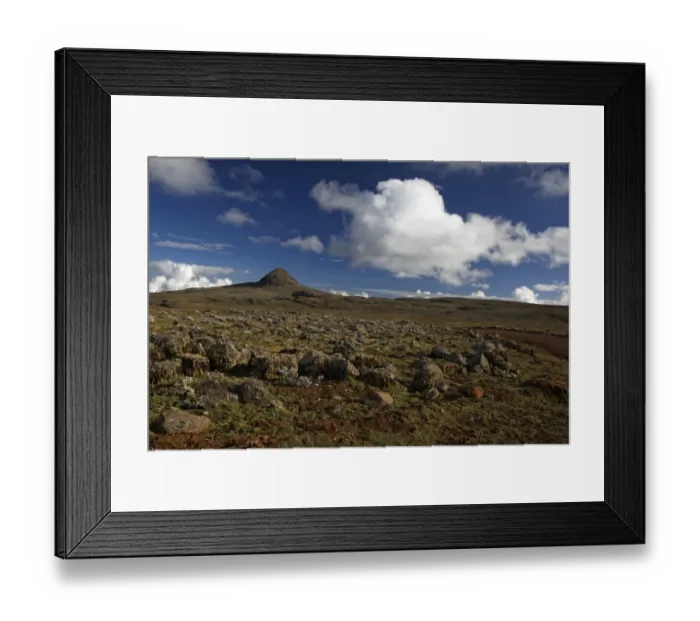 Framed Print : View of afro-alpine habitat, Sanetti Plateau, Bale Mountains N. P. Oromia, Ethiopia Framed Print : View of afro-alpine habitat, Sanetti Plateau, Bale Mountains N. P. Oromia, Ethiopia