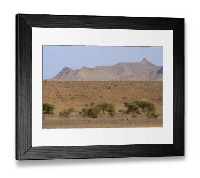 Framed Print : View of rocky desert habitat with acacia trees, Tazzarine, Morocco, january Framed Print : View of rocky desert habitat with acacia trees, Tazzarine, Morocco, january