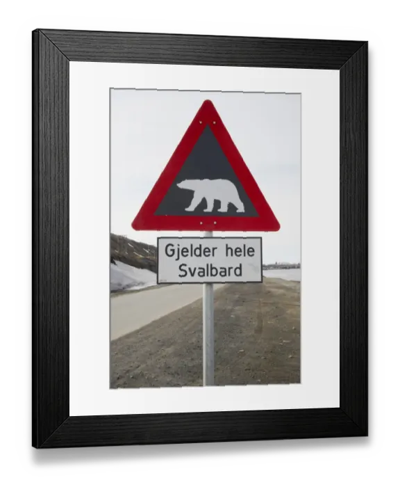 Framed Print : Polar Bear (Ursus maritimus) warning sign at roadside, Longyearbyen, Spitsbergen, Svalbard Framed Print : Polar Bear (Ursus maritimus) warning sign at roadside, Longyearbyen, Spitsbergen, Svalbard