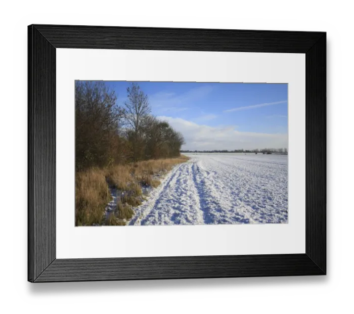Framed Print : Snow covered headland set-a-side strip between hedgerow and arable field, Bacton, Suffolk, England, november Framed Print : Snow covered headland set-a-side strip between hedgerow and arable field, Bacton, Suffolk, England, november