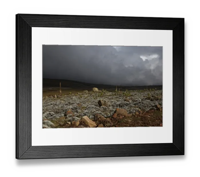 Framed Print : View of stormclouds over afro-alpine habitat, Sanetti Plateau, Bale Mountains N. P. Oromia, Ethiopia Framed Print : View of stormclouds over afro-alpine habitat, Sanetti Plateau, Bale Mountains N. P. Oromia, Ethiopia