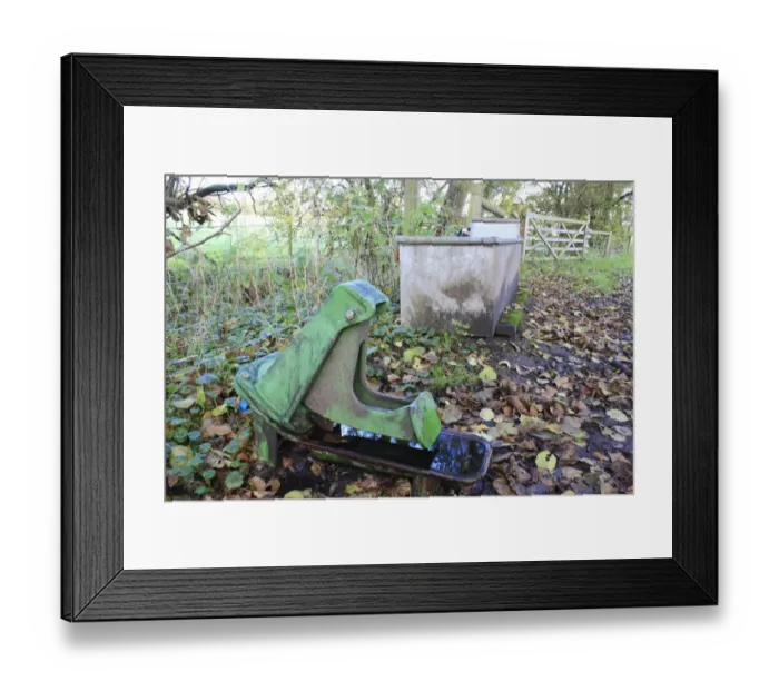 Framed Print : Domestic Cattle, nose pump cattle drinker, diaphragm pump with pumping lever which animal pushes with nose, in valley fen reserve, Hopton Fen, Hopton, Suffolk, England, november