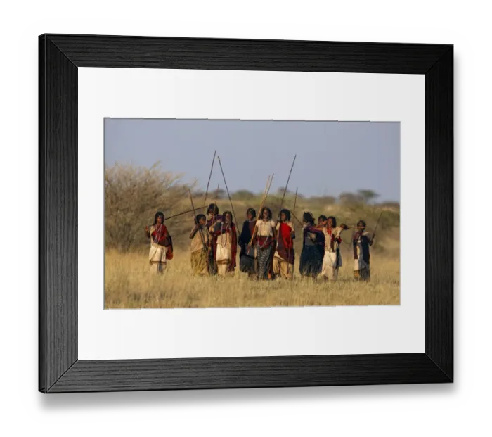 Framed Print : Keruyu girls, group walking through savanna, Awash, Afar Region, Ethiopia Framed Print : Keruyu girls, group walking through savanna, Awash, Afar Region, Ethiopia