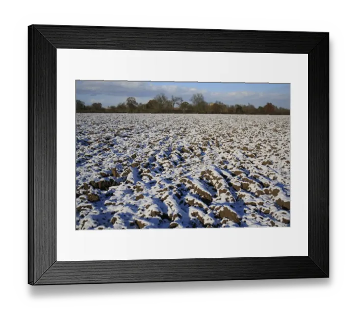 Framed Print : Snow covered ploughed arable field, Bacton, Suffolk, England, november Framed Print : Snow covered ploughed arable field, Bacton, Suffolk, England, november