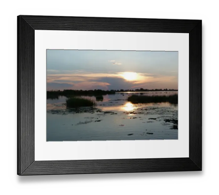 Framed Print : View of wetland habitat at dusk, Okavango Delta, Botswana
