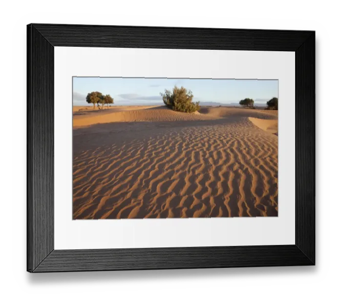 Framed Print : View of desert sand dunes with trees, Sahara, Morocco, may Framed Print : View of desert sand dunes with trees, Sahara, Morocco, may