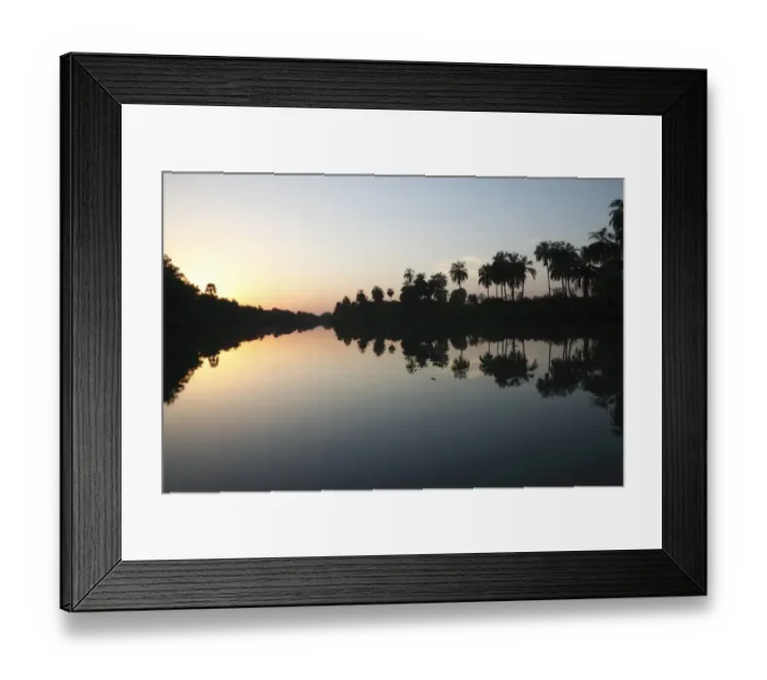 Framed Print : Sunset over river habitat, with palm trees silhouetted and reflected in water, Gambia River, Gambia, january Framed Print : Sunset over river habitat, with palm trees silhouetted and reflected in water, Gambia River, Gambia, january