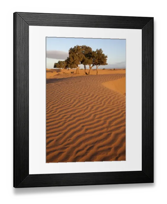 Framed Print : View of desert sand dunes with trees, Sahara, Morocco, may