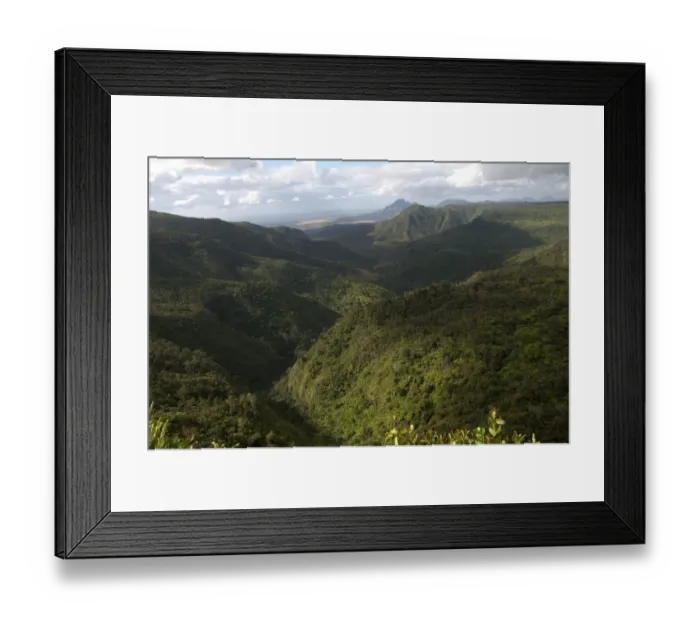 Framed Print : View of forested hillside habitat, Black River Gorges N. P. Black River District, West Mauritius Framed Print : View of forested hillside habitat, Black River Gorges N. P. Black River District, West Mauritius