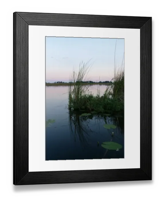 Framed Print : View of wetland habitat at dusk, Okavango Delta, Botswana Framed Print : View of wetland habitat at dusk, Okavango Delta, Botswana