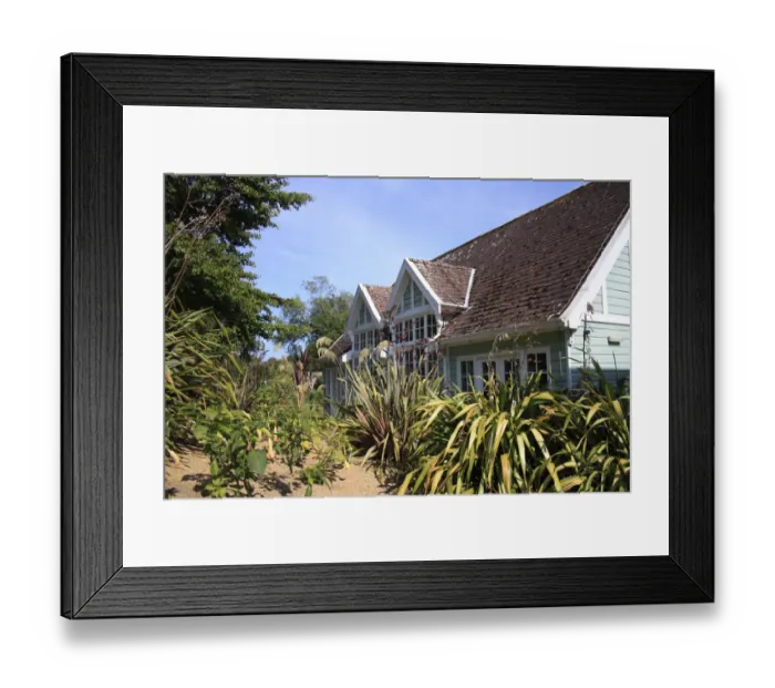 Framed Print : Botanic gardens with sheltered microclimate, Ventnor Botanic Garden, Ventnor, Isle of Wight, England, july Framed Print : Botanic gardens with sheltered microclimate, Ventnor Botanic Garden, Ventnor, Isle of Wight, England, july