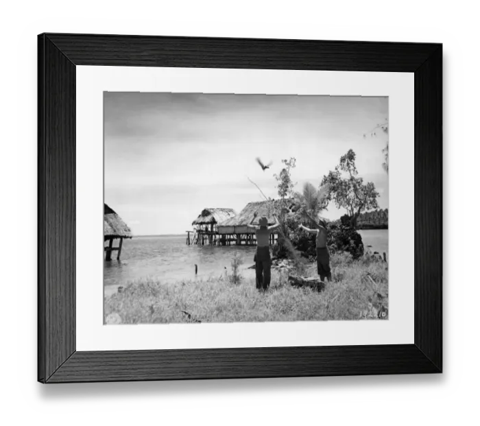 Framed Print : American soldiers from Reconnaissance Troop of 1st Cavalry Divison, releasing courier pigeons with messages for headquarters during World War Two, Ami Island, Admiralty Islands, Bismarck Archipelago, Pacific Ocean, march 1944 (U. S) Framed Print : American soldiers from Reconnaissance Troop of 1st Cavalry Divison, releasing courier pigeons with messages for headquarters during World War Two, Ami Island, Admiralty Islands, Bismarck Archipelago, Pacific Ocean, march 1944 (U. S)