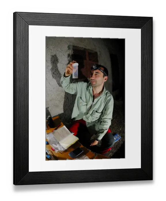 Framed Print : Researcher exhamining collected lizard specimens for DNA analysis, Socotra, Yemen, march Framed Print : Researcher exhamining collected lizard specimens for DNA analysis, Socotra, Yemen, march