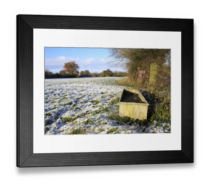 Framed Print : Frozen water trough at edge of snow covered pasture, Bacton, Suffolk, England, november Framed Print : Frozen water trough at edge of snow covered pasture, Bacton, Suffolk, England, november