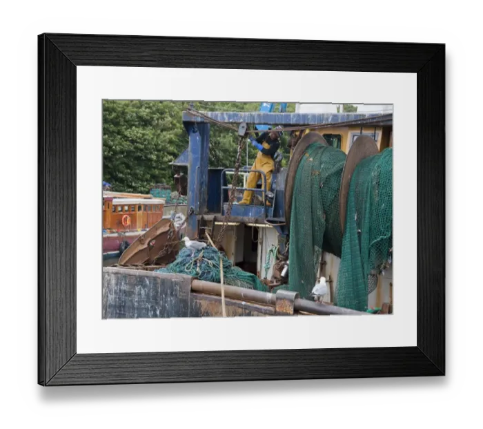 Framed Print : Bonaventure LH111 fishing trawler at harbour, preparing to go to sea, Eyemouth, Berwickshire, Scottish Borders, Scotland, july Framed Print : Bonaventure LH111 fishing trawler at harbour, preparing to go to sea, Eyemouth, Berwickshire, Scottish Borders, Scotland, july