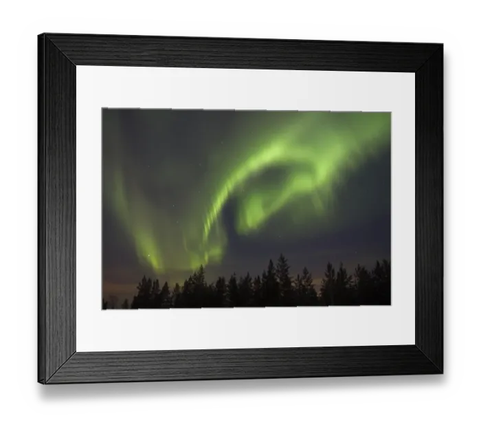 Framed Print : Aurora Borealis, over coniferous forest at night, Finland, february Framed Print : Aurora Borealis, over coniferous forest at night, Finland, february