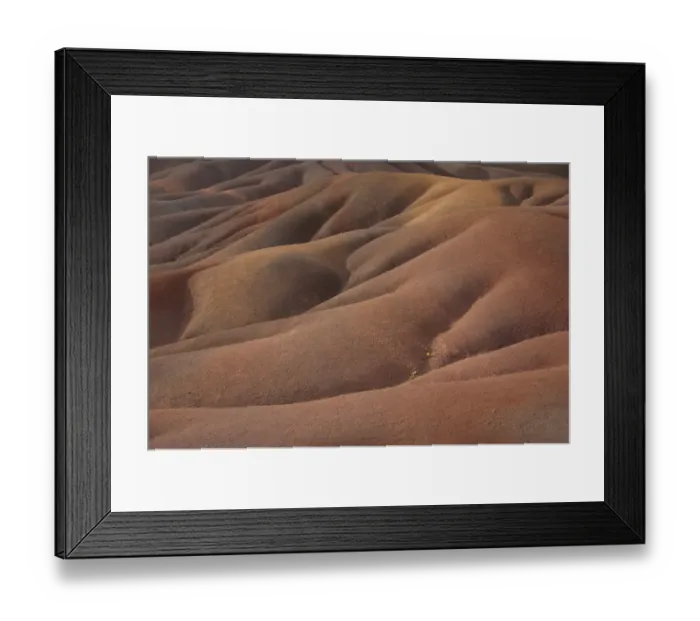 Framed Print : View of sand dunes comprising of different coloured sands, caused by decomposed basalt gullies of ferralitic soil, red colour caused by iron sesquioxydes and blue colour caused by aluminium sesquioxydes, Seven Coloured Earths, Chamarel Framed Print : View of sand dunes comprising of different coloured sands, caused by decomposed basalt gullies of ferralitic soil, red colour caused by iron sesquioxydes and blue colour caused by aluminium sesquioxydes, Seven Coloured Earths, Chamarel