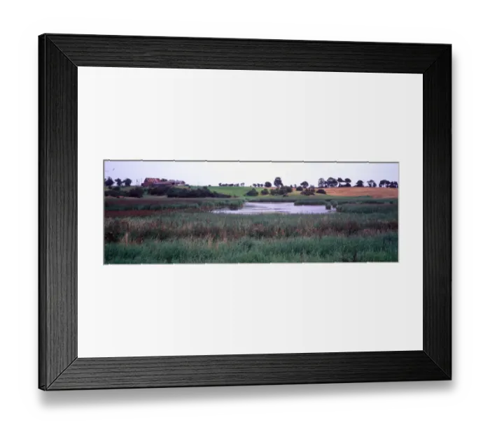 Framed Print : Conservation - Reserves - Hen Reedbeds, Suffolk Willdlife Trust Framed Print : Conservation - Reserves - Hen Reedbeds, Suffolk Willdlife Trust