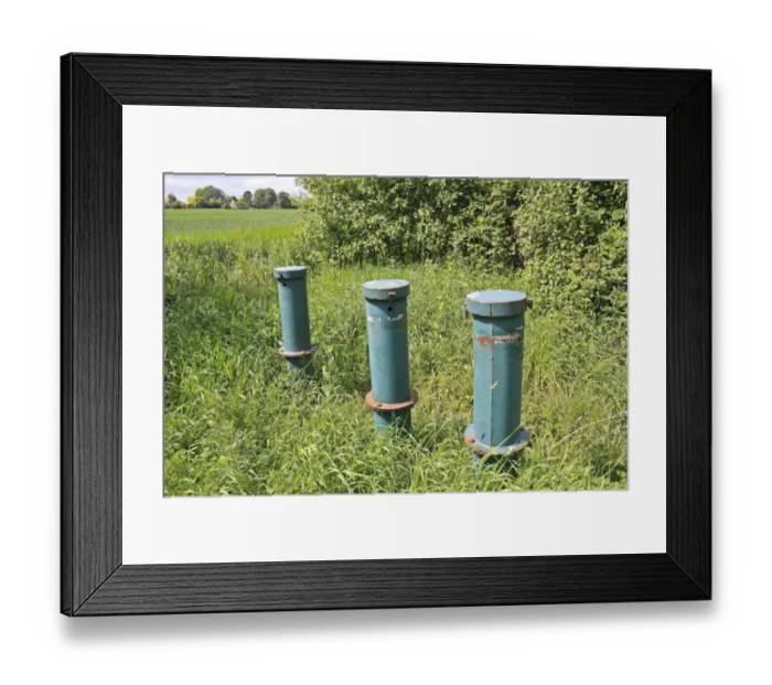 Framed Print : Groundwater observation tubes in valley fen, Old Fen, Thelnetham Fen, Little Ouse Valley, Suffolk, England, may Framed Print : Groundwater observation tubes in valley fen, Old Fen, Thelnetham Fen, Little Ouse Valley, Suffolk, England, may