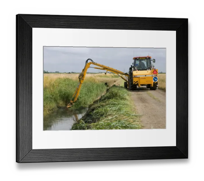 Framed Print : Tractor with boom arm, clearing reed from overgrown dyke, countryside management scheme, near King's Lynn, Norfolk, England, august Framed Print : Tractor with boom arm, clearing reed from overgrown dyke, countryside management scheme, near King's Lynn, Norfolk, England, august