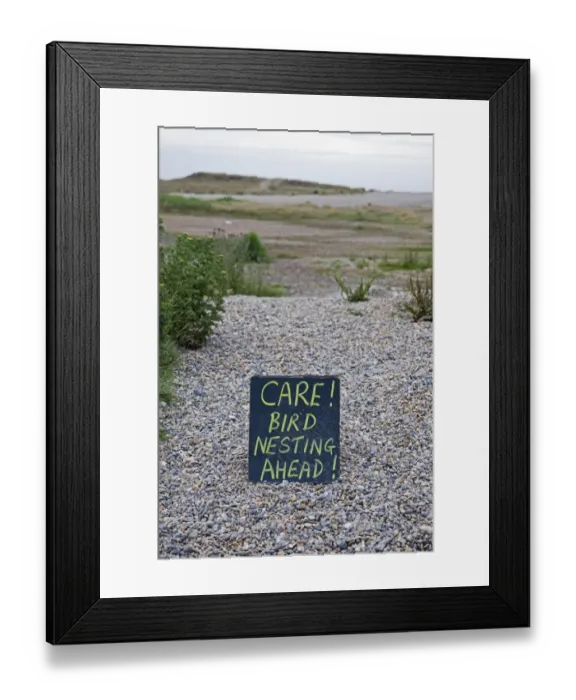 Framed Print : Care, Bird Nesting Ahead sign along path on shingle, Salthouse, Norfolk, England, july