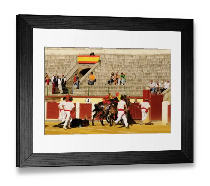 Framed Print : Bullfighting, mules dragging dead bull out of bullring, Spain, september Framed Print : Bullfighting, mules dragging dead bull out of bullring, Spain, september