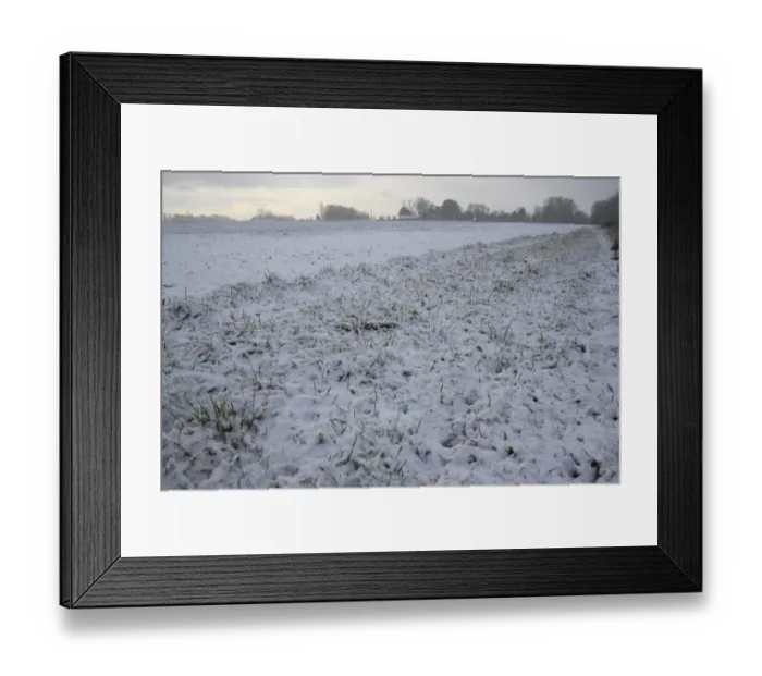 Framed Print : Snow covered headland set-a-side at edge of arable field, Bacton, Suffolk, England, november Framed Print : Snow covered headland set-a-side at edge of arable field, Bacton, Suffolk, England, november