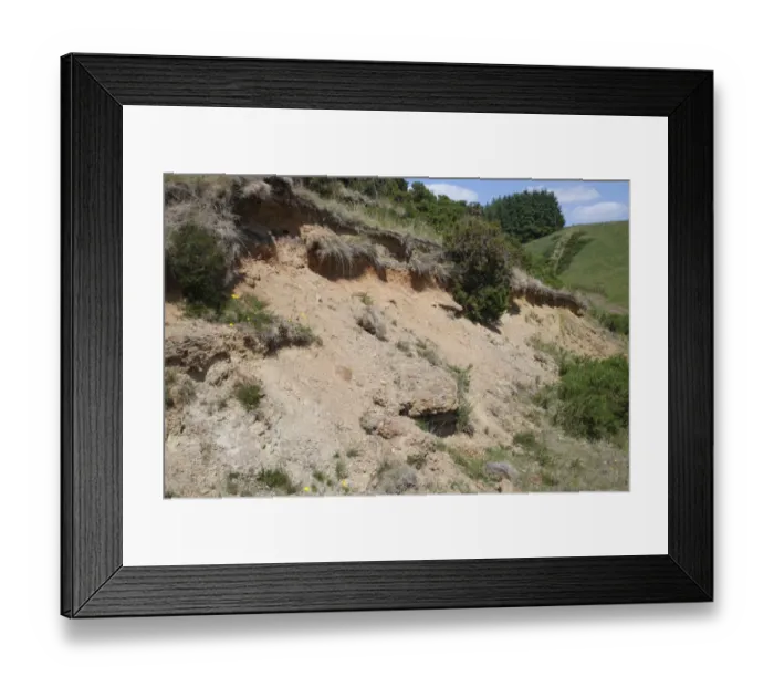 Framed Print : South-facing sandy bank habitat in upland area, Powys, Wales, june Framed Print : South-facing sandy bank habitat in upland area, Powys, Wales, june