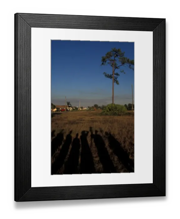 Framed Print : Sunlight Shadows of people watching a Bald Eagle Framed Print : Sunlight Shadows of people watching a Bald Eagle