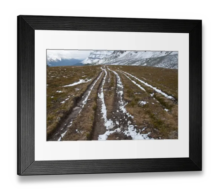 Framed Print : Serious soil erosion along hiking trail, Helen Lake Trail, Banff N. P. Alberta, Canada, october Framed Print : Serious soil erosion along hiking trail, Helen Lake Trail, Banff N. P. Alberta, Canada, october