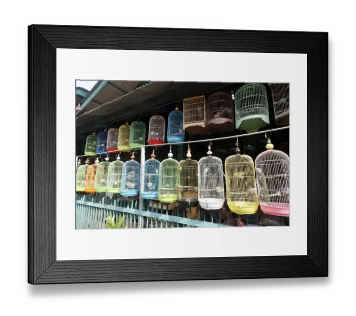 Framed Print : Lovebirds in cages for sale at market, Pramuka Bird Market, Jakarta, Java, Indonesia, march Framed Print : Lovebirds in cages for sale at market, Pramuka Bird Market, Jakarta, Java, Indonesia, march