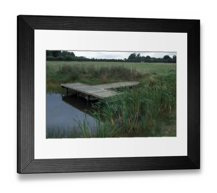 Framed Print : Ponds Wildlife Pond at Foxburrow Farm, Suffolk Wildlife Trust Framed Print : Ponds Wildlife Pond at Foxburrow Farm, Suffolk Wildlife Trust