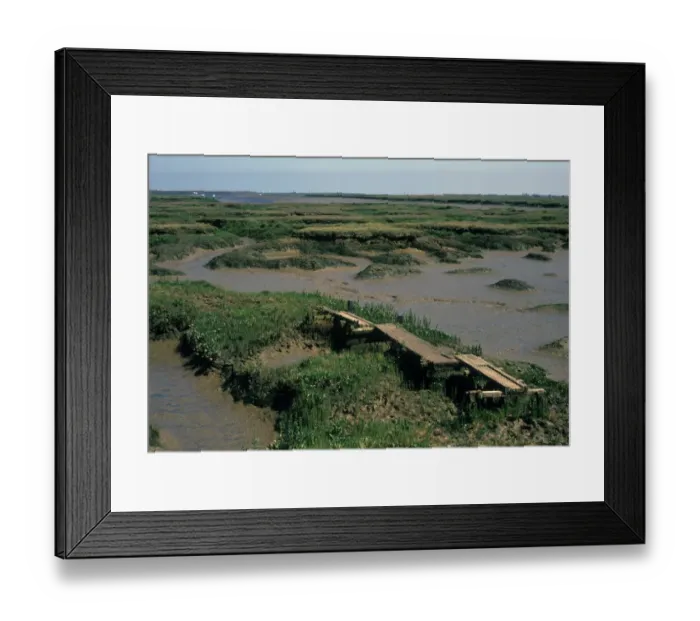 Framed Print : Estuaries - Salt Marshes View over salt marsh / Tollesbury Framed Print : Estuaries - Salt Marshes View over salt marsh / Tollesbury