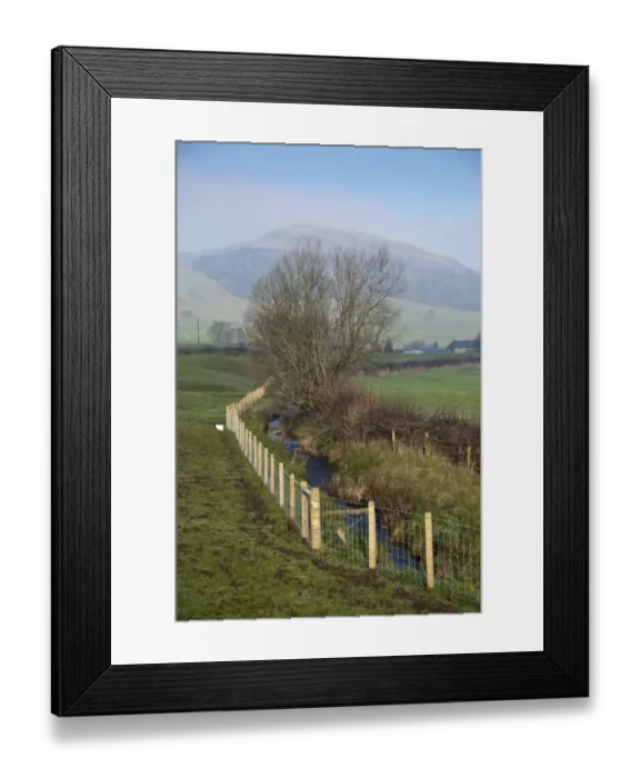 Framed Print : Stream flowing through pasture, protected from livestock with new wire mesh fencing, tributary of River Hodder, Whitewell, Lancashire, England, january Framed Print : Stream flowing through pasture, protected from livestock with new wire mesh fencing, tributary of River Hodder, Whitewell, Lancashire, England, january