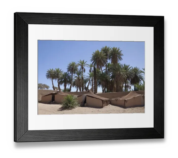 Framed Print : Desert oasis with palm trees and tent camp, Sahara, Morocco, may